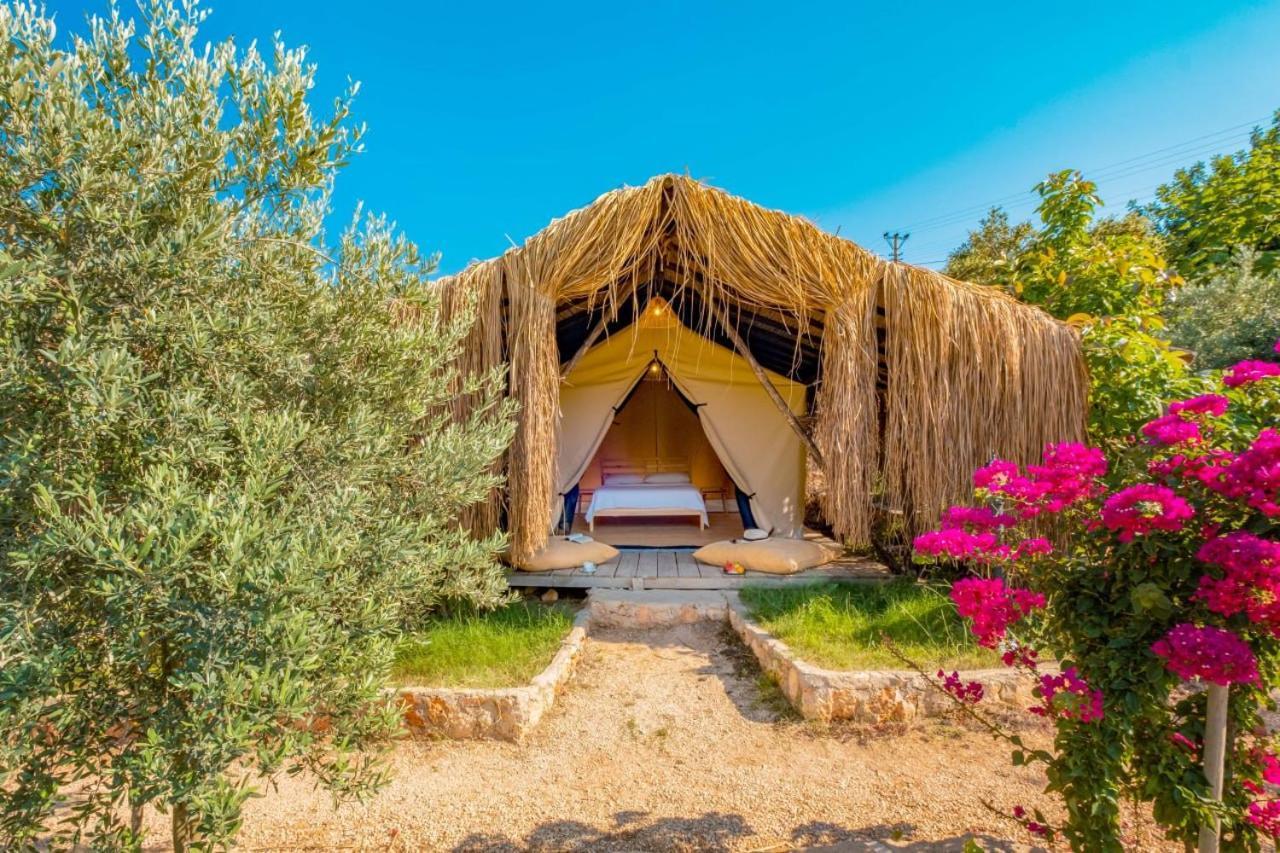 فندق Kas Joy Glamping المظهر الخارجي الصورة